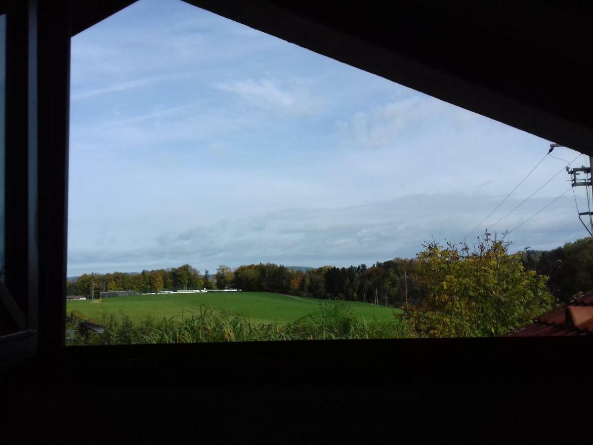 Ferienwohnung Wiesmuehlstrasse Henndorf am Wallersee Luaran gambar