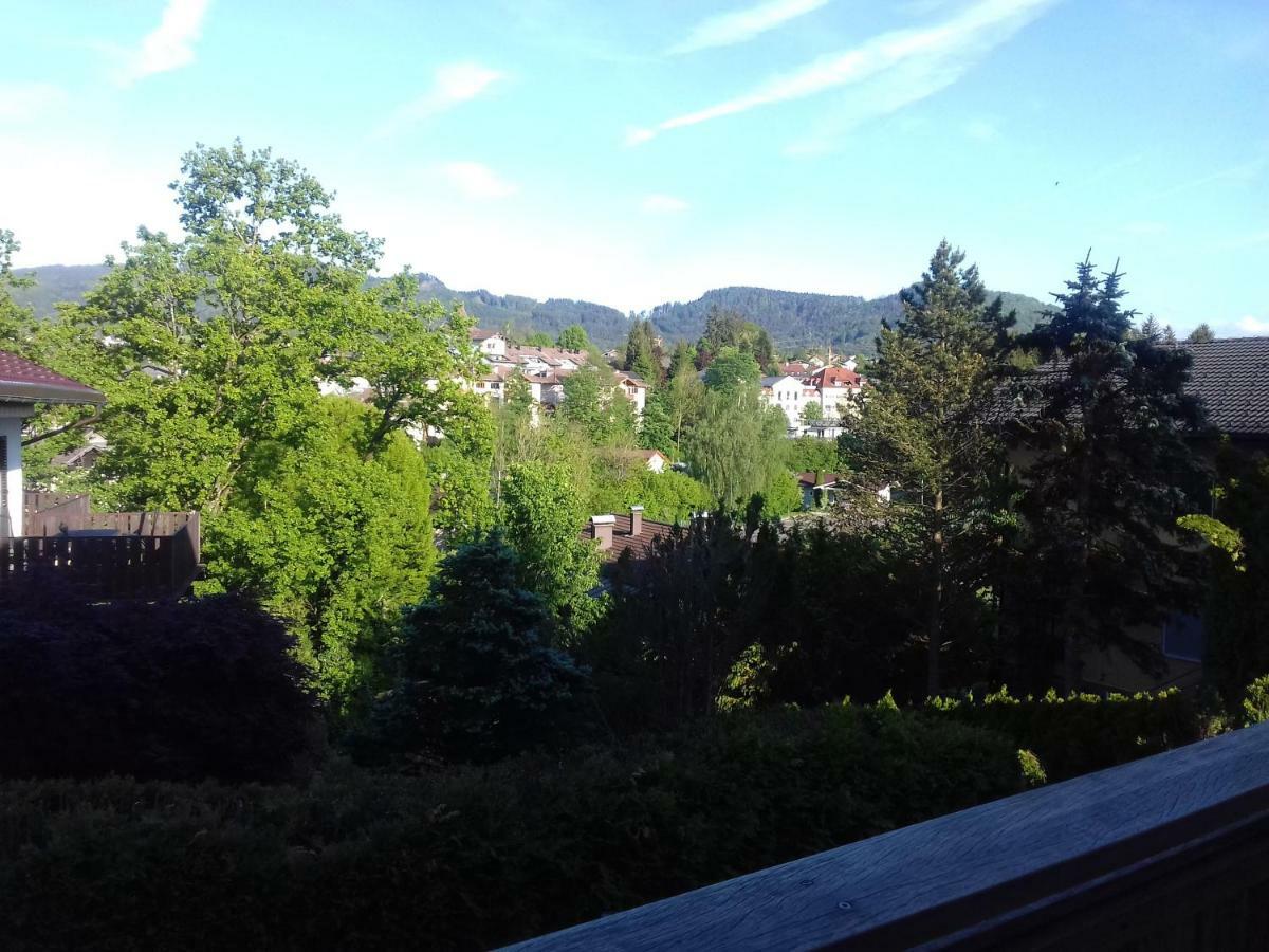 Ferienwohnung Wiesmuehlstrasse Henndorf am Wallersee Luaran gambar
